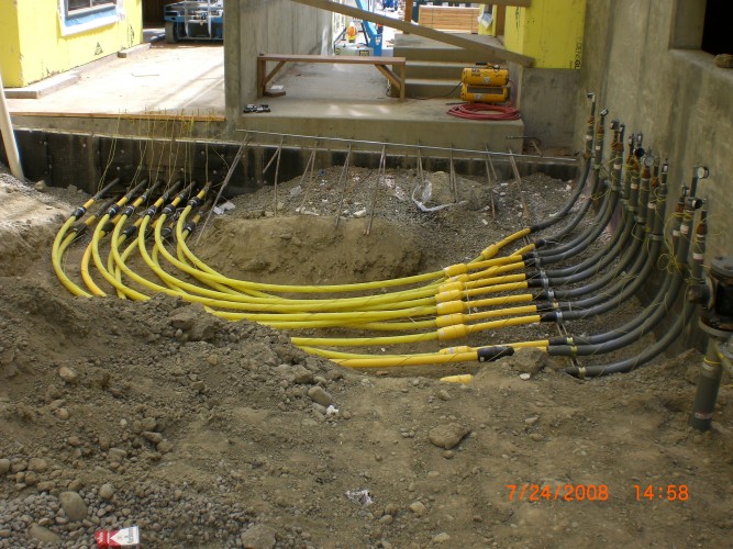 Many tubes connecting to plumbing system